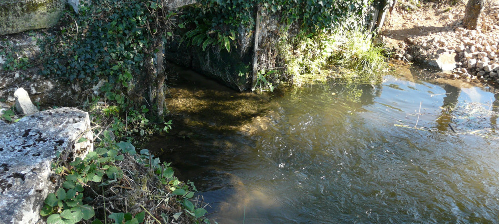 Ruisseau le Cibiou