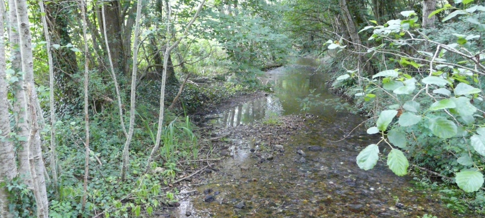 Ruisseau la Fontaine de Blanzac